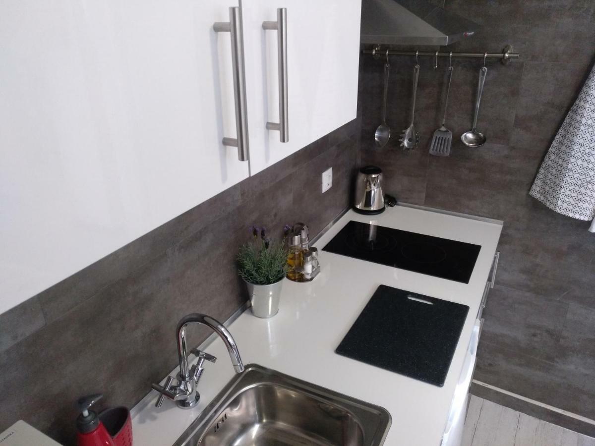 Apartamento Cigueena 1 サラゴサ エクステリア 写真